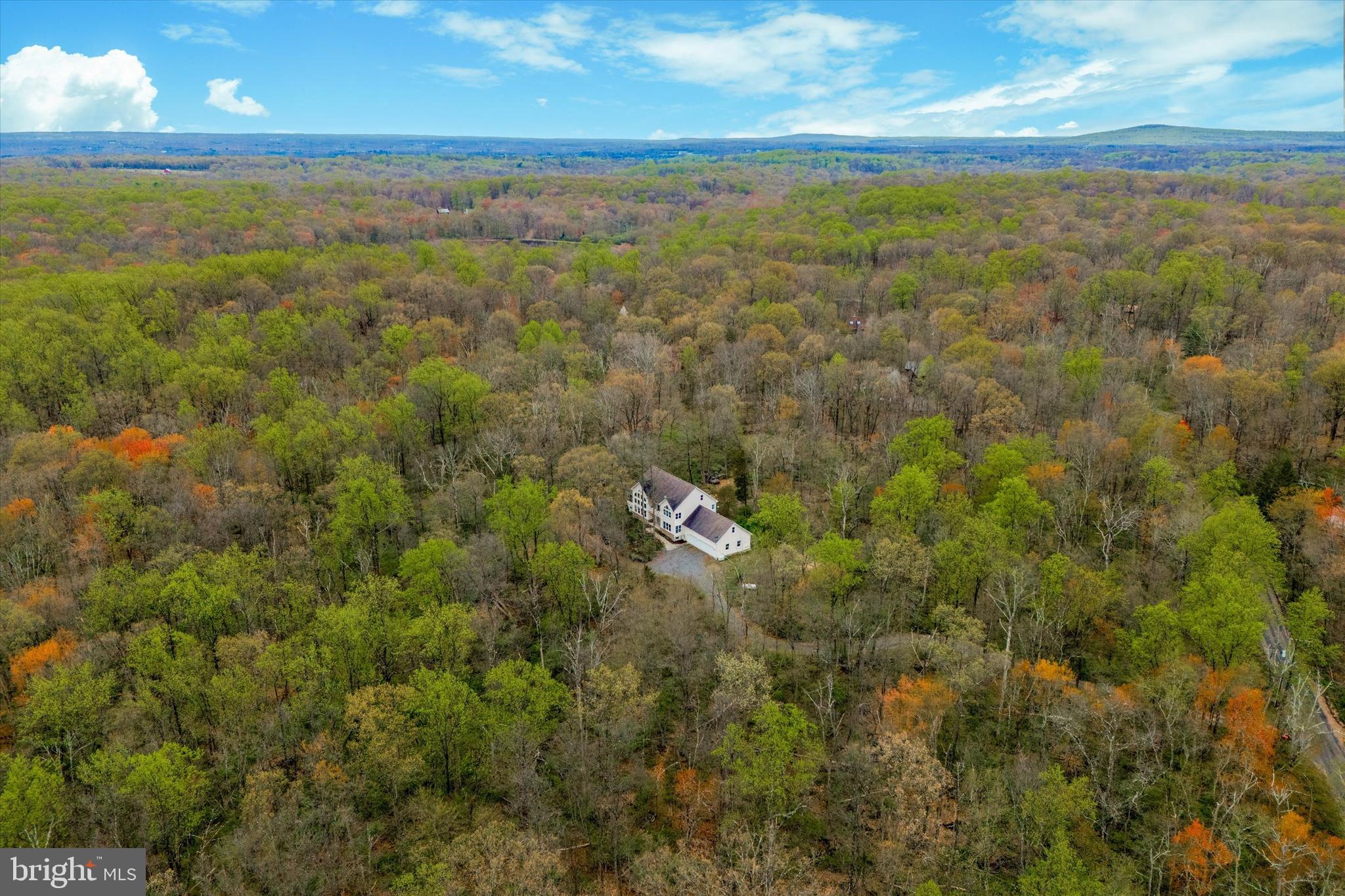165 Roaring Rocks Road Upper Black Eddy, PA 18972 - Photo 62 of 64 Complete Privacy