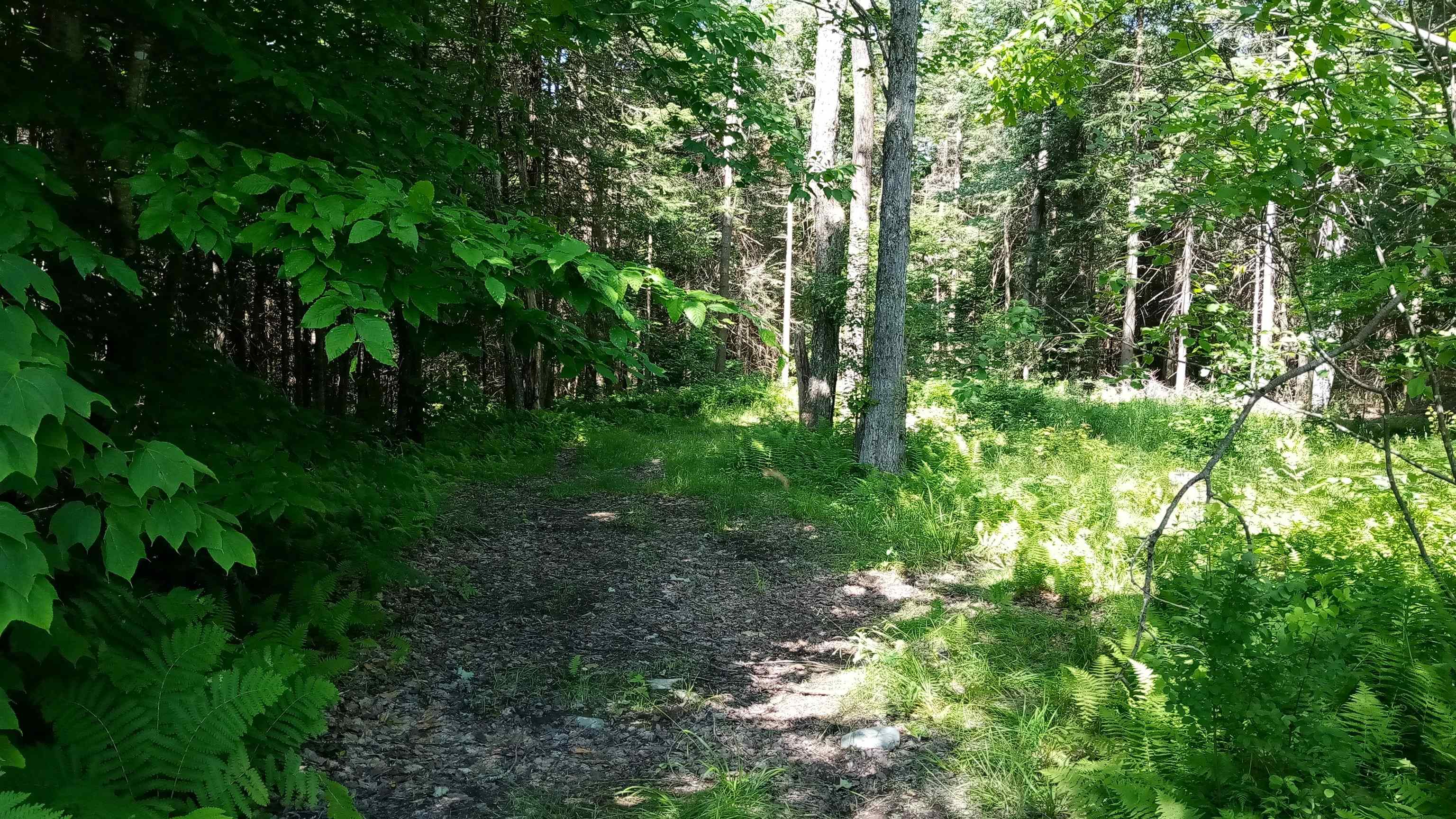3003 Irish Hill Road Lowell, VT 05847 - Photo 11 of 16