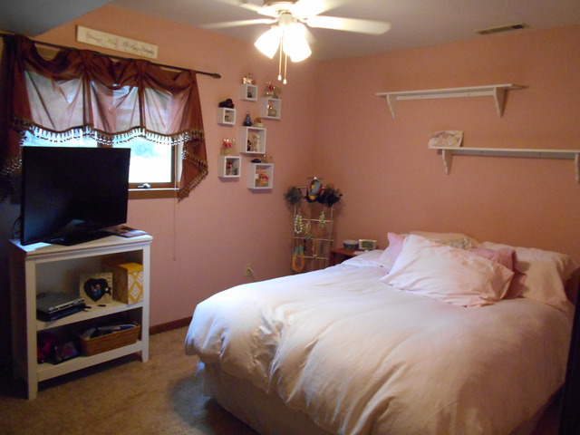 311 Greenfield Road Shorewood, IL 60404 - Photo 11 of 16 Gallery Image 11