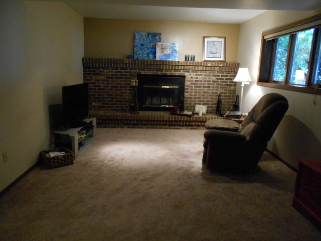 311 Greenfield Road Shorewood, IL 60404 - Photo 13 of 16 Gallery Image 13