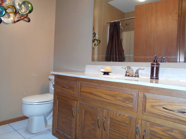 311 Greenfield Road Shorewood, IL 60404 - Photo 6 of 16 Gallery Image 6