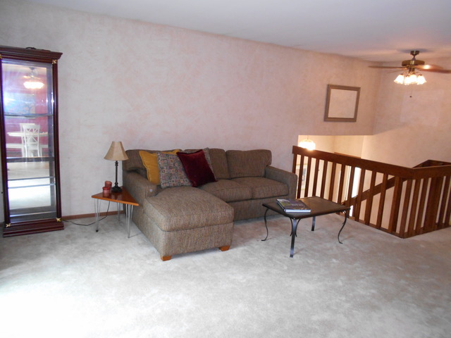 311 Greenfield Road Shorewood, IL 60404 - Photo 7 of 16 Gallery Image 7