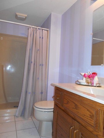 311 Greenfield Road Shorewood, IL 60404 - Photo 9 of 16 Gallery Image 9