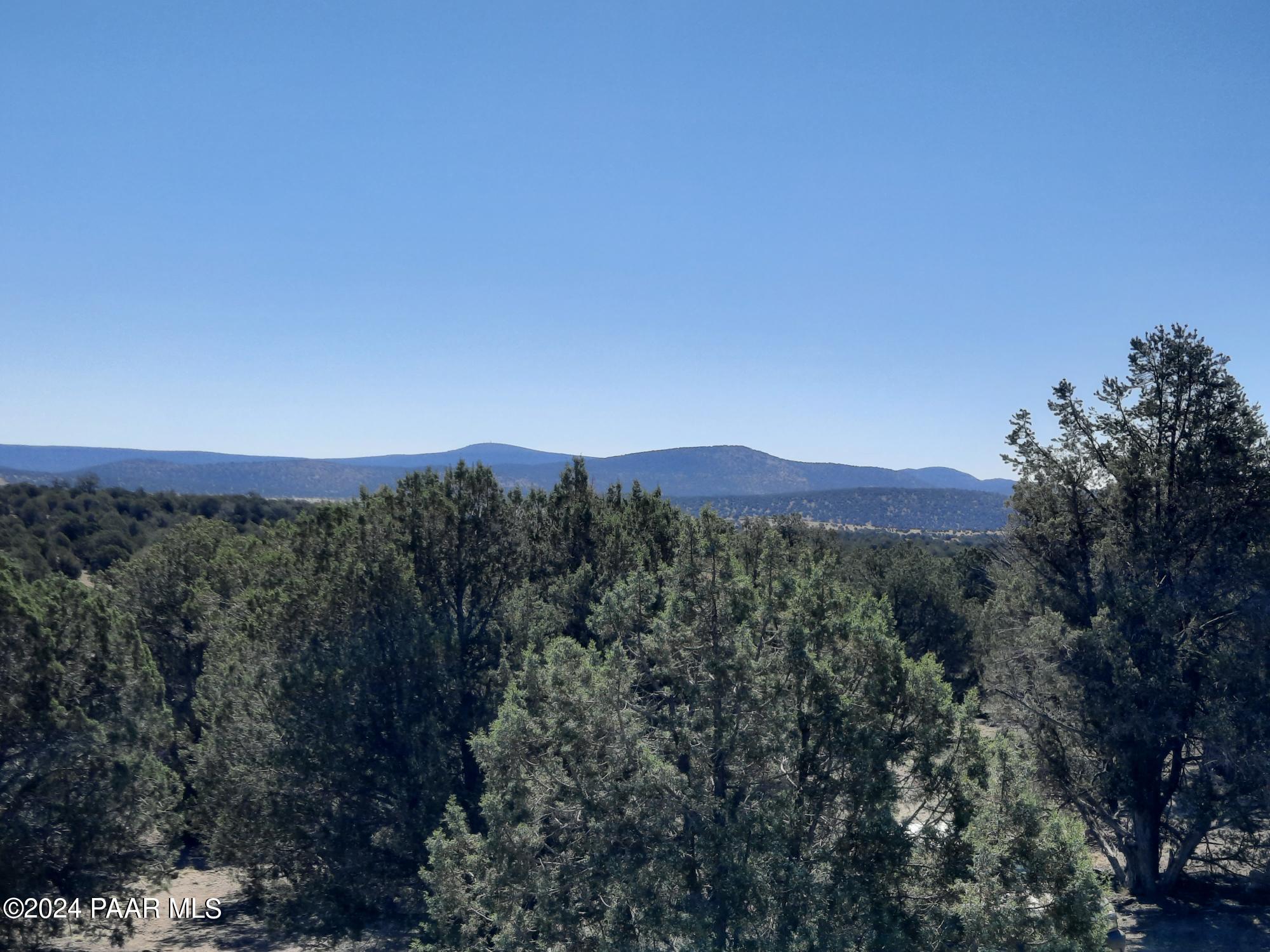 47550 North Ricks Road Seligman, AZ 86337 - Photo 27 of 33 20240612_093006