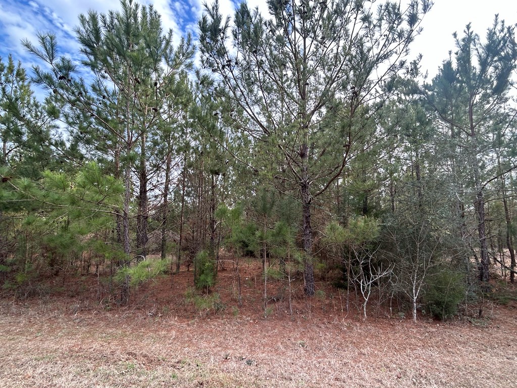 9-ac Whittle Hudson Road Ozark, AL 36360 - Photo 12 of 34