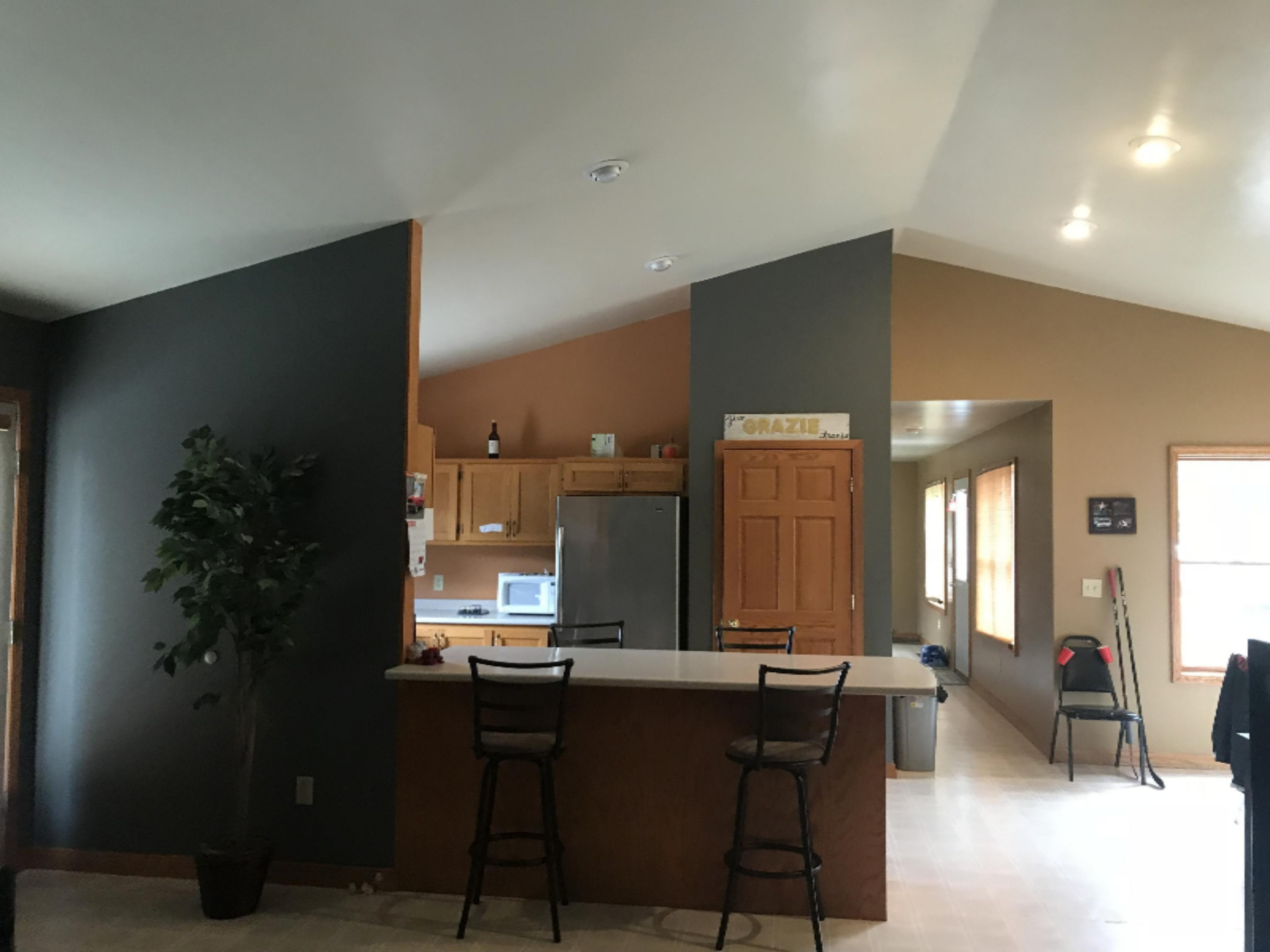 454 Dildine Road Ionia, MI 48846 - Photo 11 of 28 IMG_3464