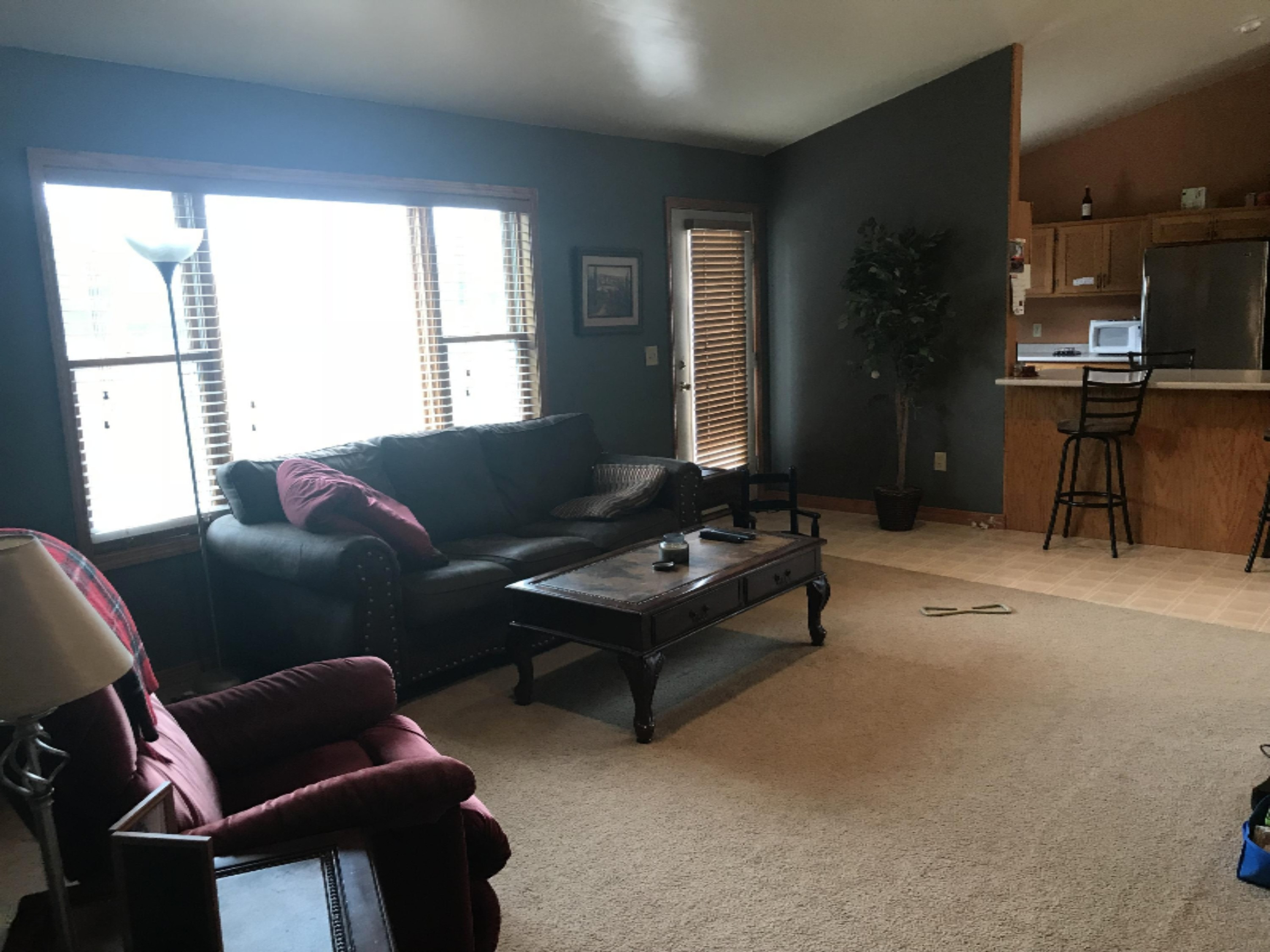 454 Dildine Road Ionia, MI 48846 - Photo 14 of 28 IMG_3468