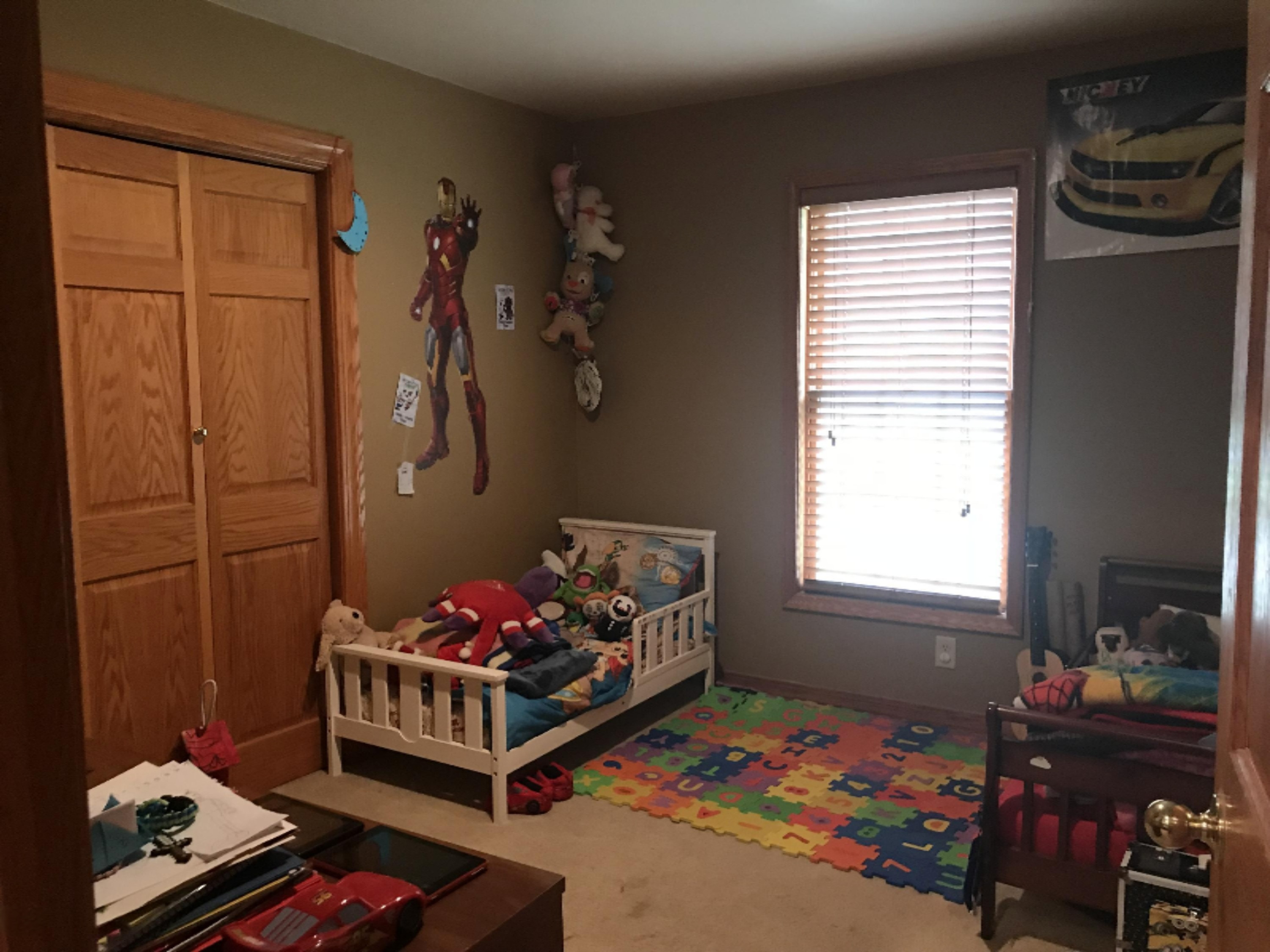 454 Dildine Road Ionia, MI 48846 - Photo 16 of 28 IMG_3467