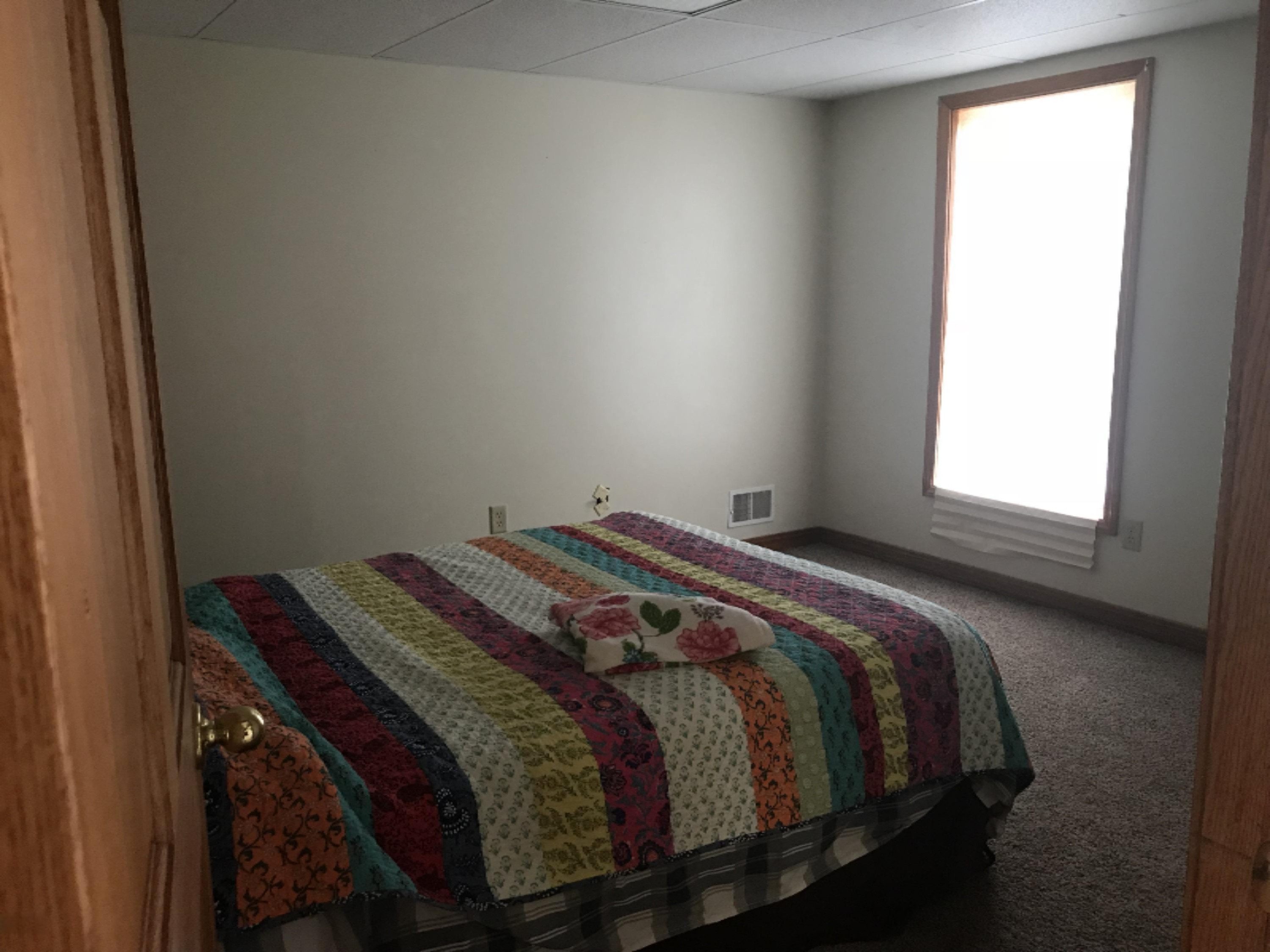 454 Dildine Road Ionia, MI 48846 - Photo 19 of 28 IMG_3477