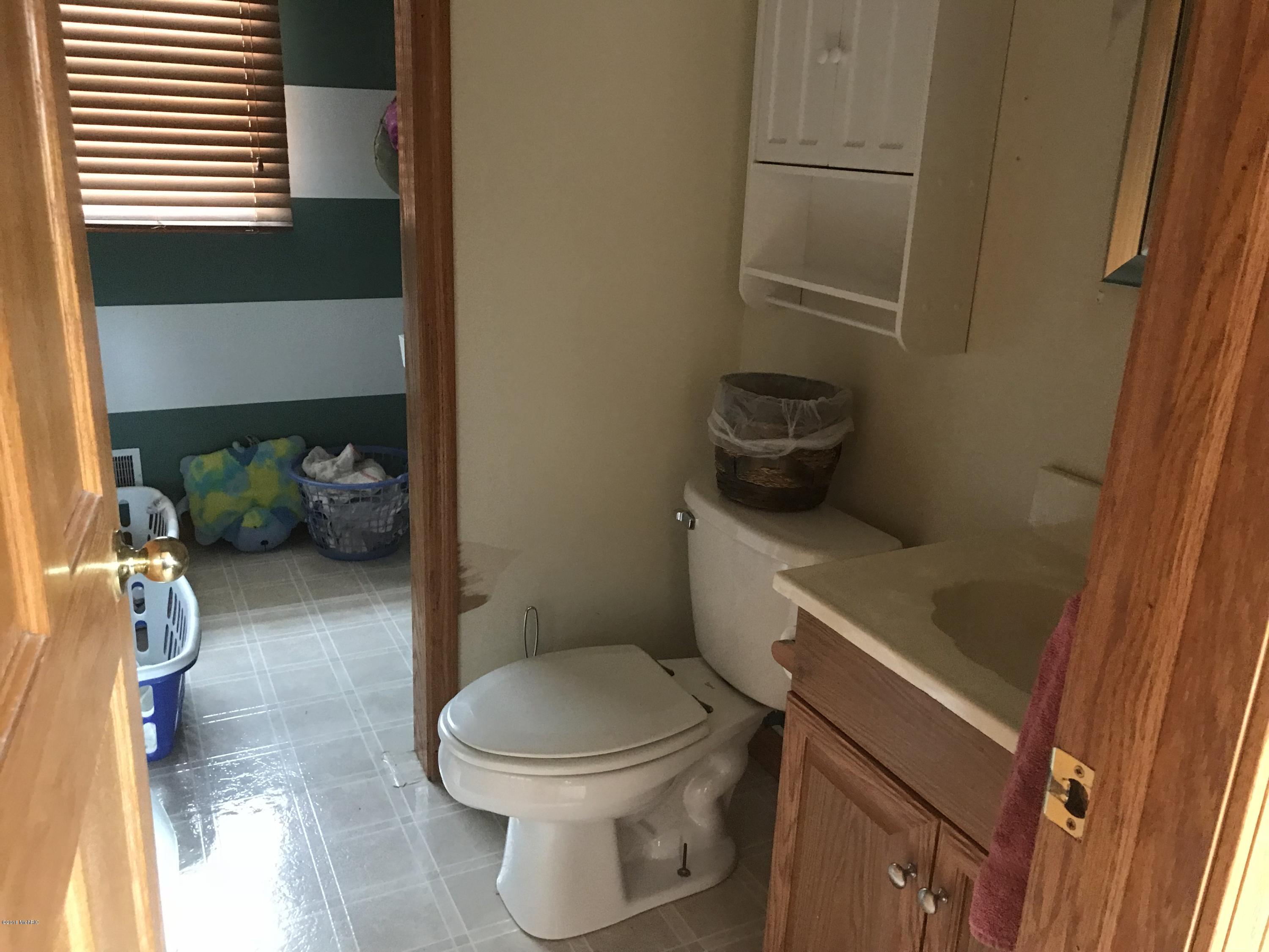 454 Dildine Road Ionia, MI 48846 - Photo 20 of 28 IMG_3473