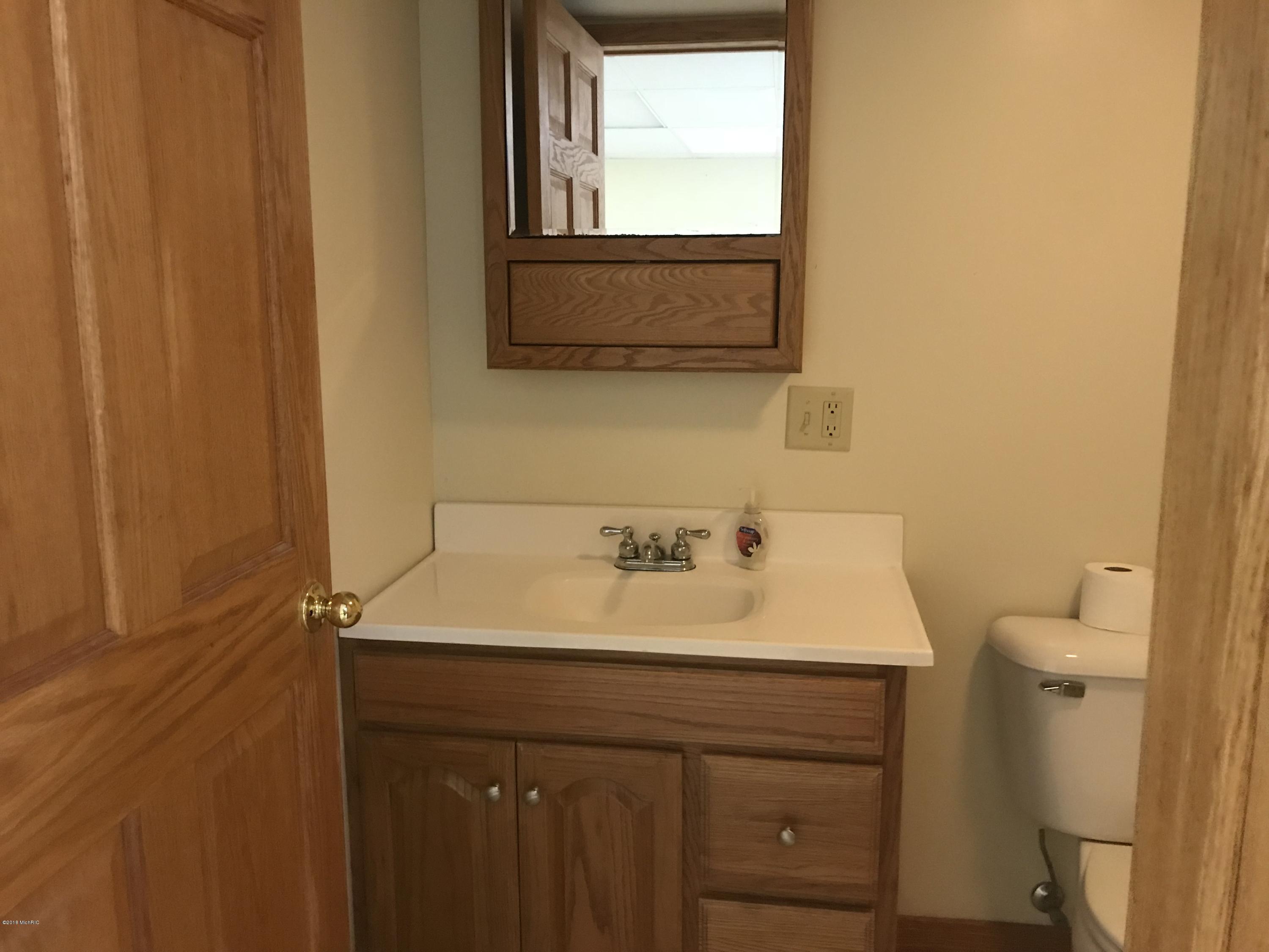 454 Dildine Road Ionia, MI 48846 - Photo 21 of 28 IMG_3476