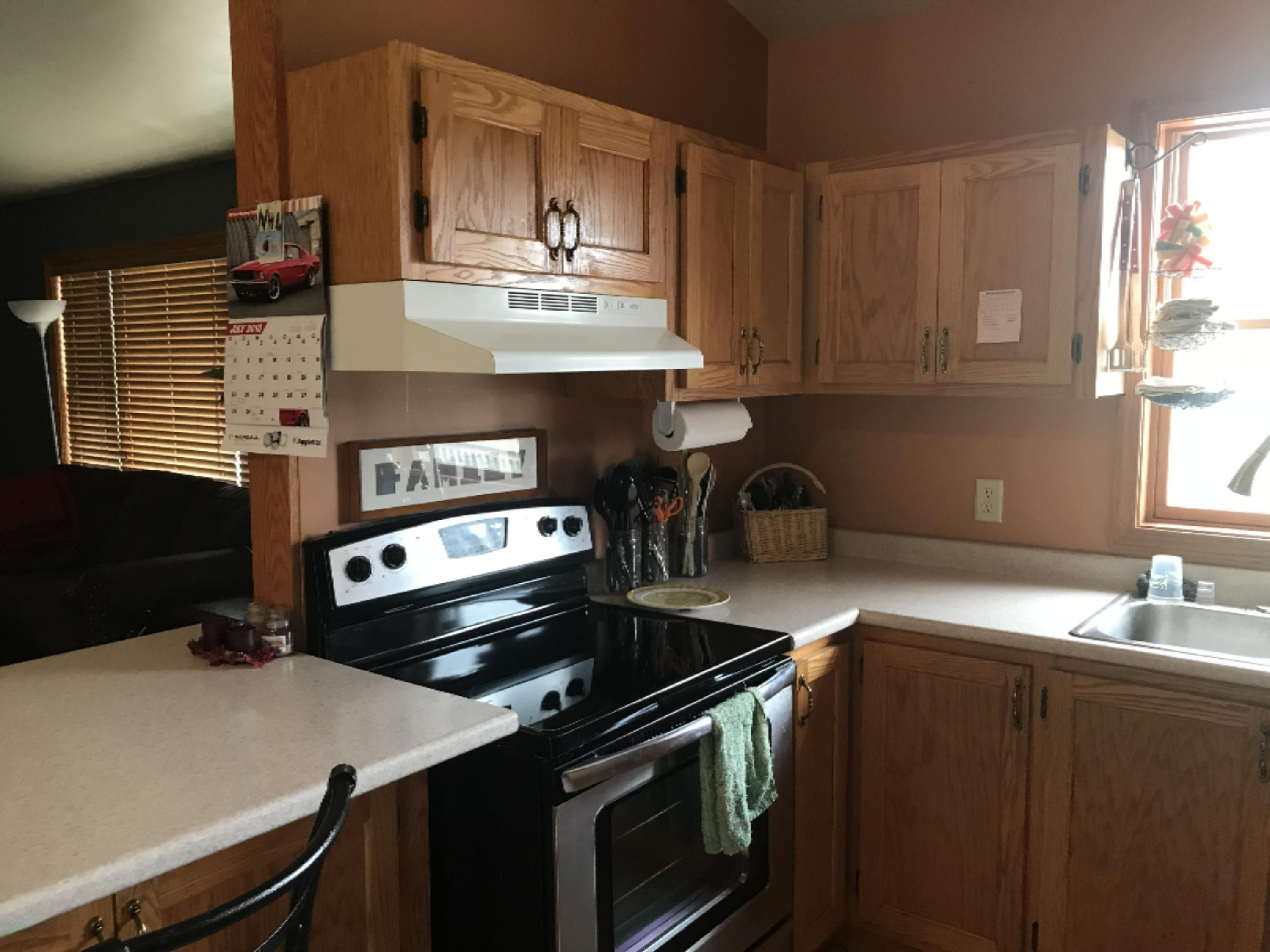 454 Dildine Road Ionia, MI 48846 - Photo 6 of 28 IMG_3461