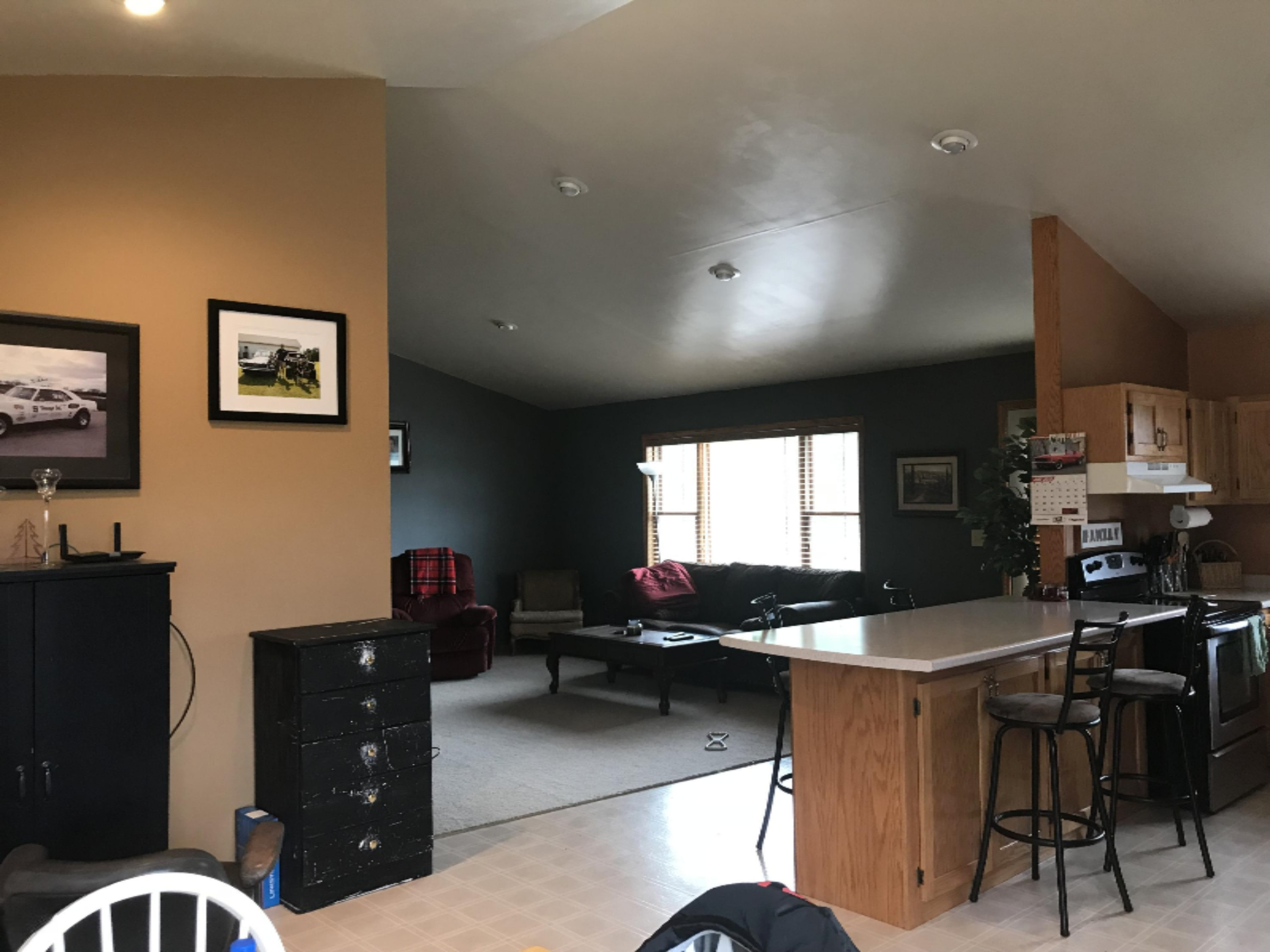 454 Dildine Road Ionia, MI 48846 - Photo 10 of 28 IMG_3472
