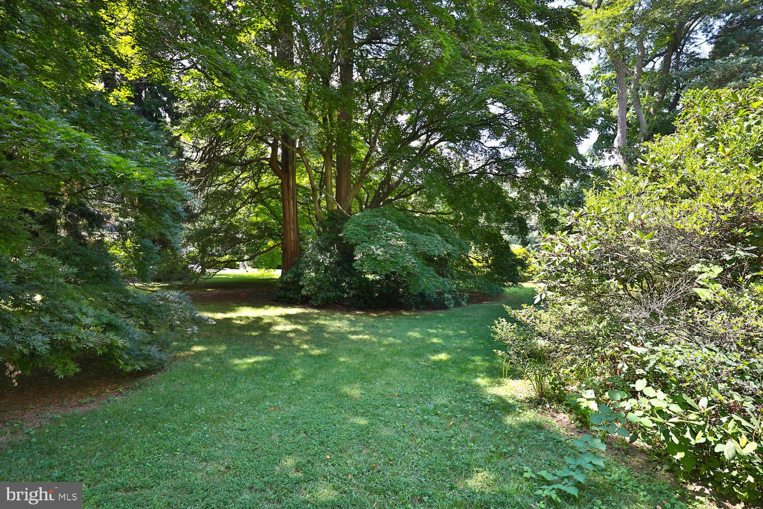 41 South Providence Road Wallingford, PA 19086 - Photo 81 of 92 Back Yard