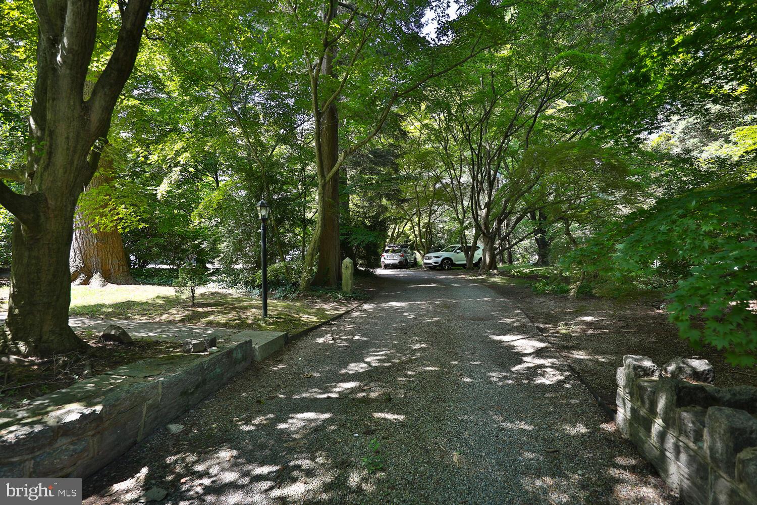 41 South Providence Road Wallingford, PA 19086 - Photo 92 of 92 Driveway from Street