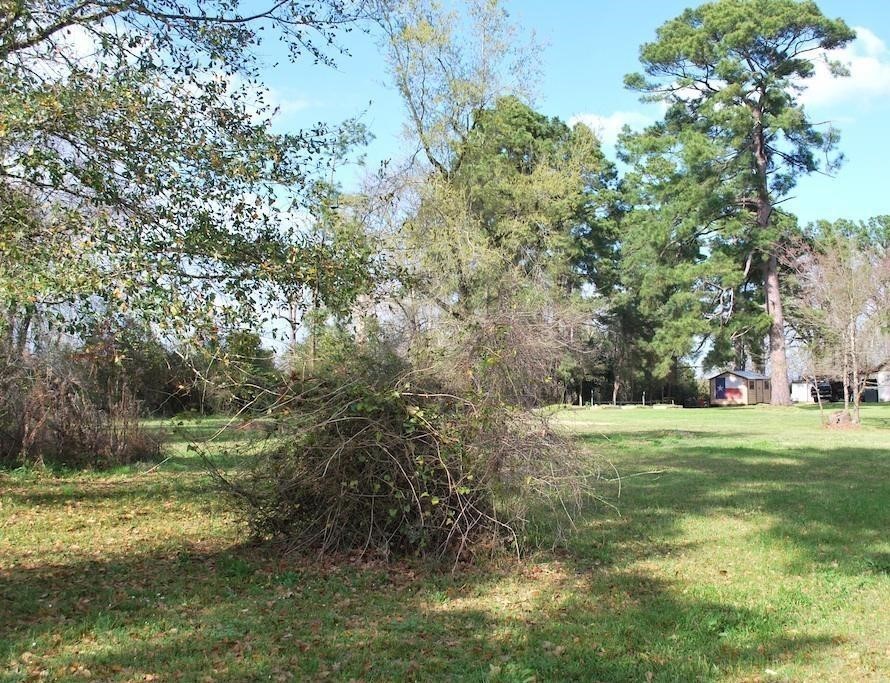 0 East Oak Rdg Drive Point Blank, TX 77364 - Photo 3 of 5 a big yard with lots of green space and trees
