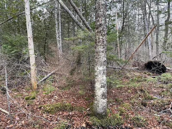 $60,900 | 225 Priest Road, Northport, ME 04849