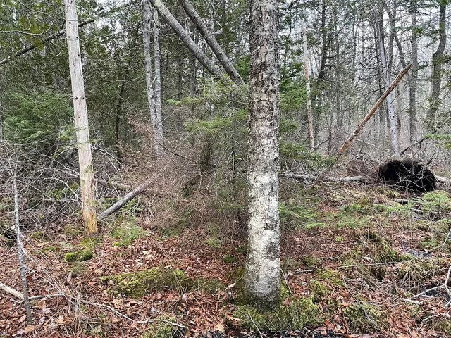 $60,900 | 225 Priest Road, Northport, ME 04849