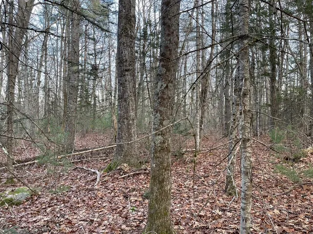 $60,900 | 225 Priest Road, Northport, ME 04849