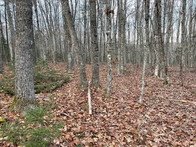 $60,900 | 225 Priest Road, Northport, ME 04849