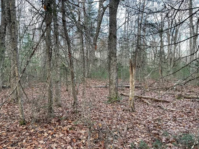 $60,900 | 225 Priest Road, Northport, ME 04849