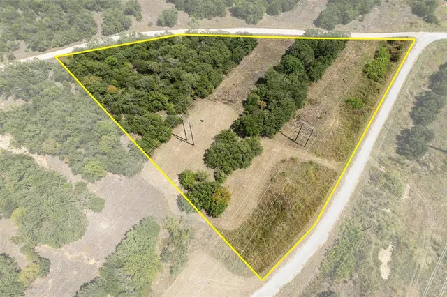 a view of a yard with plants