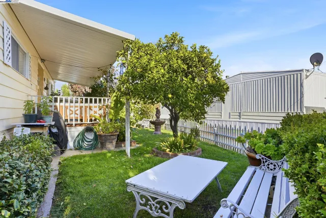 a view of a backyard with plants