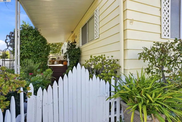 a couple of flower plants in front of a building