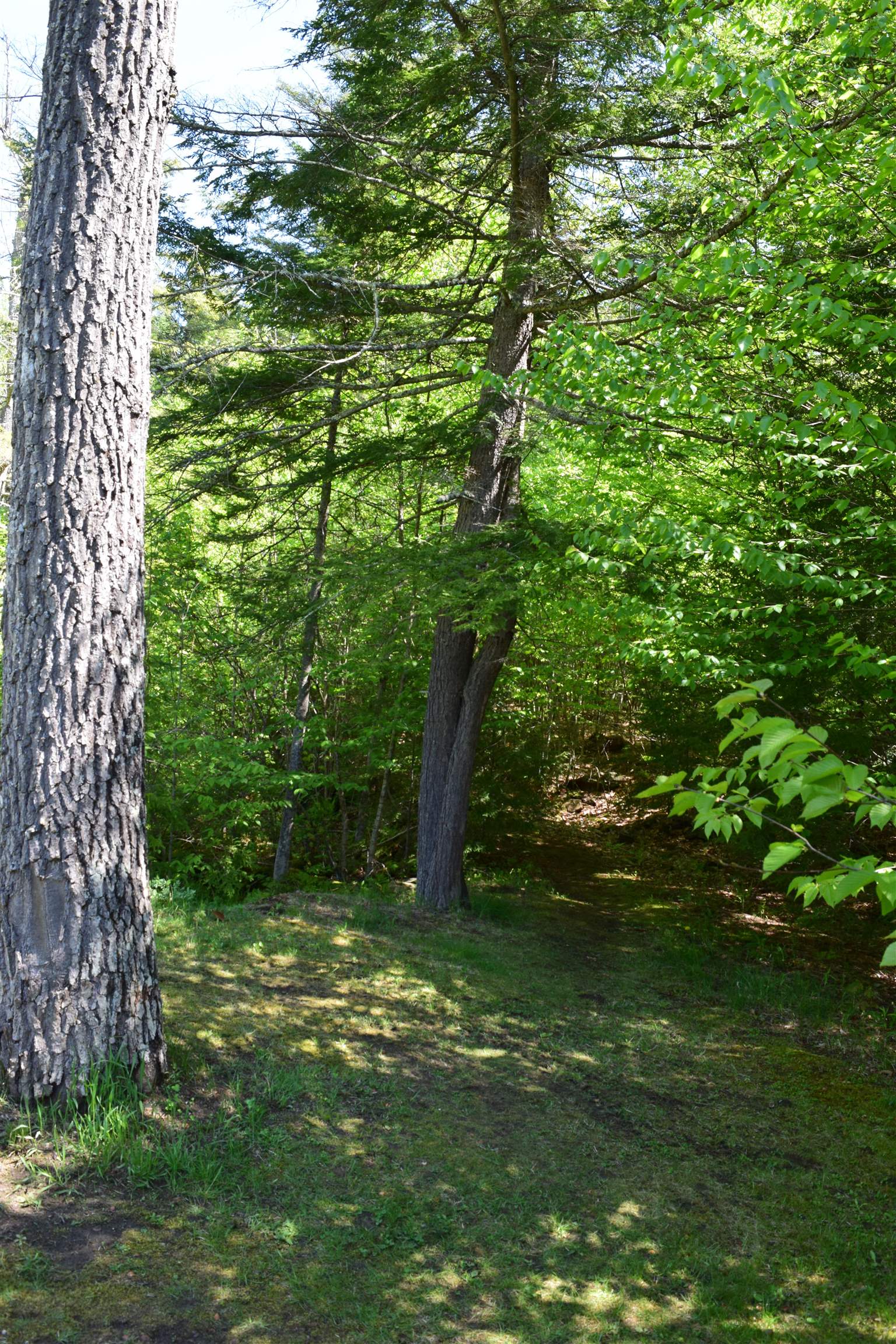 58 Stone Ledge Road Littleton, NH 03561 - Photo 10 of 52