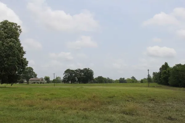 a view of a field with trees