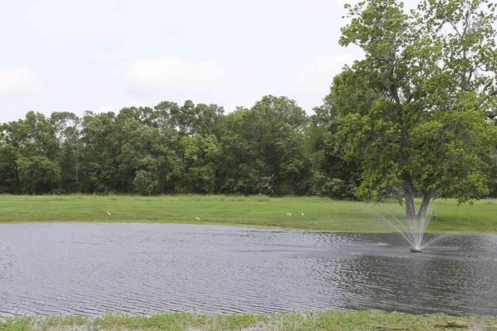 4 Laurel Court Cleveland, TX 77327 - Photo 15 of 24 a view of a field and a trees