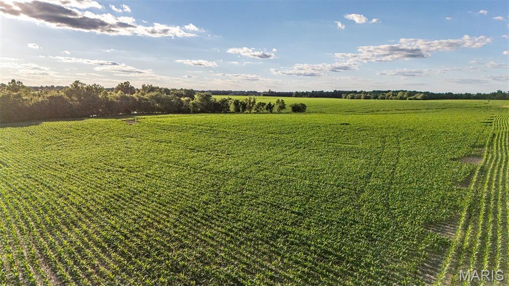 0 Gentry Road Monroe City, MO 63456 - Photo 6 of 19