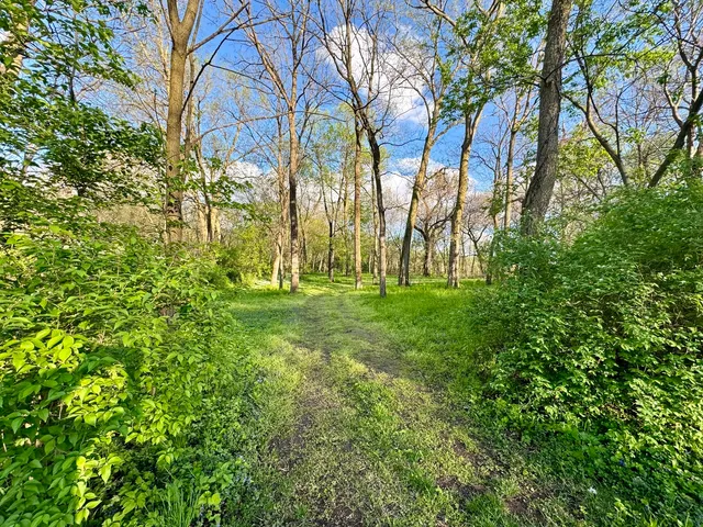 a view of backyard with green space