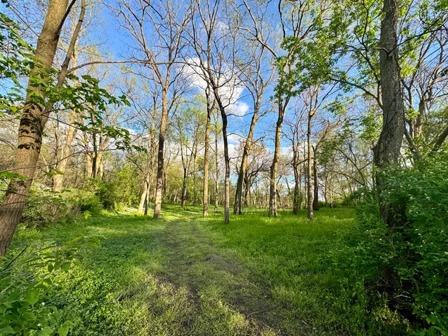a backyard of building with trees