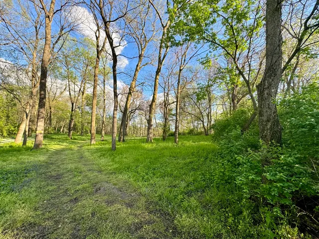 a backyard of a house with lots of green space
