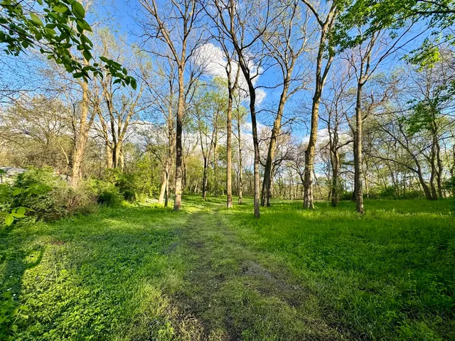 a view of grassy field with trees