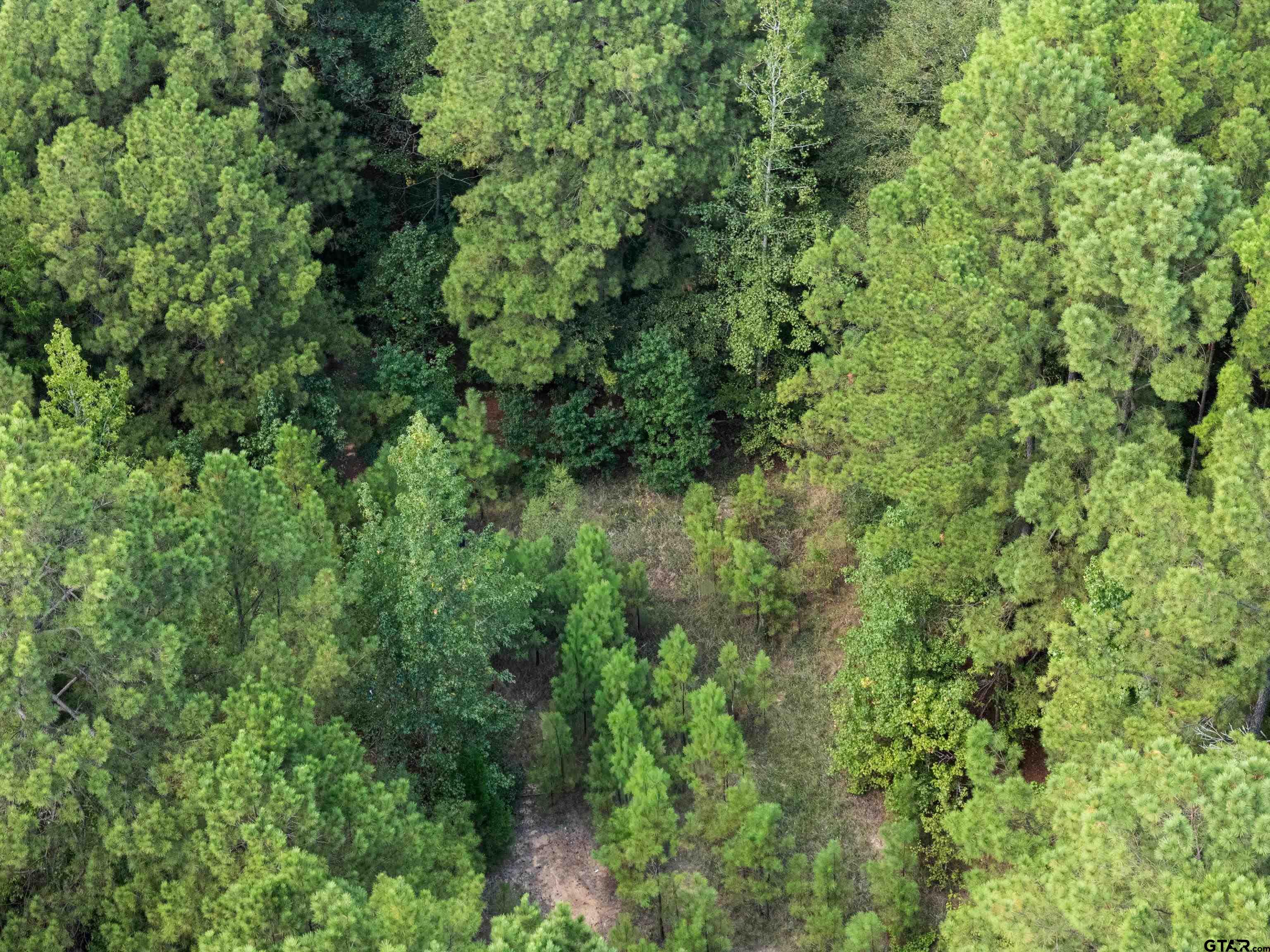 2268 Masters Road Mooringsport, LA 71060 - Photo 11 of 18