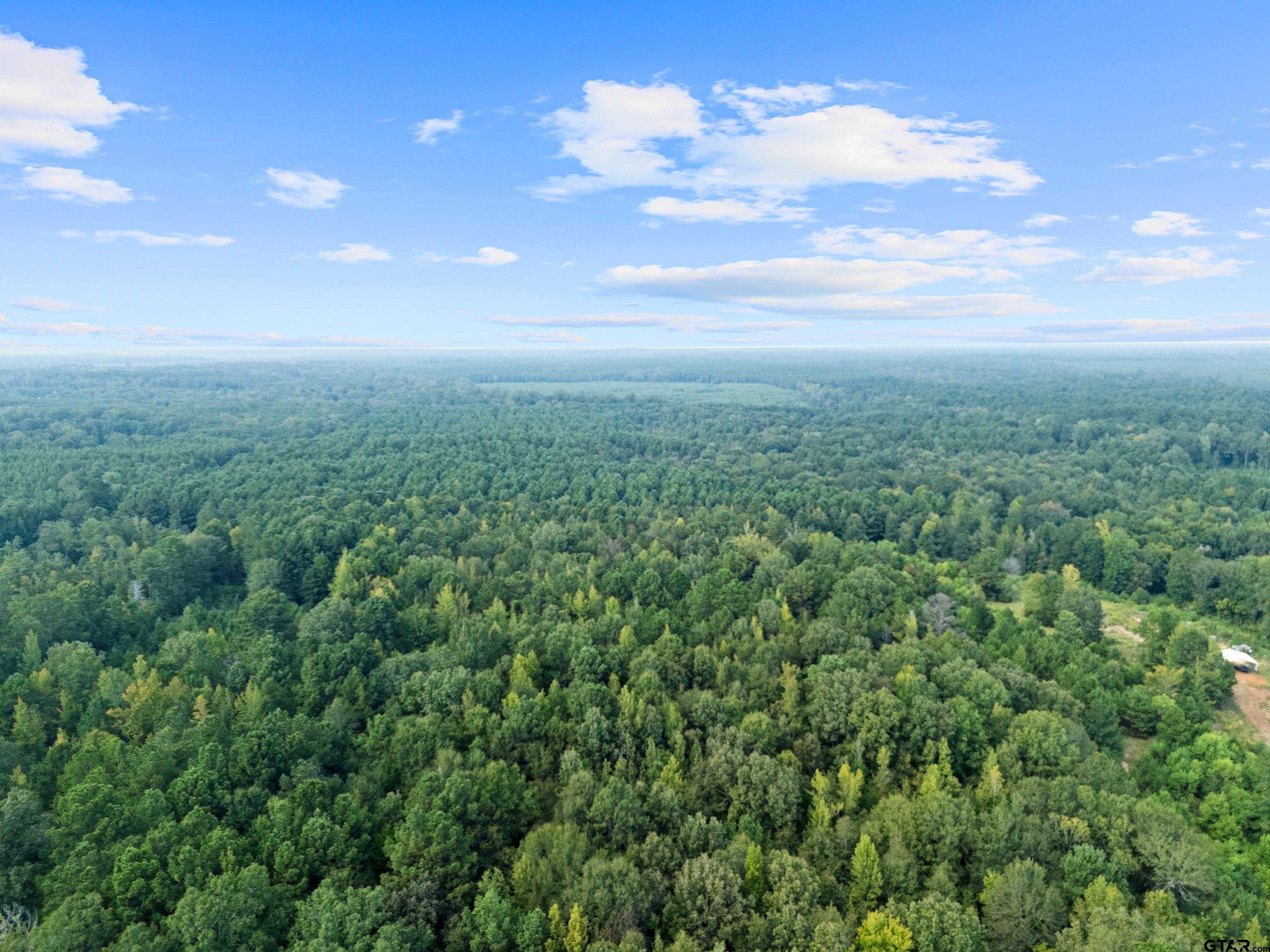 2268 Masters Road Mooringsport, LA 71060 - Photo 12 of 18