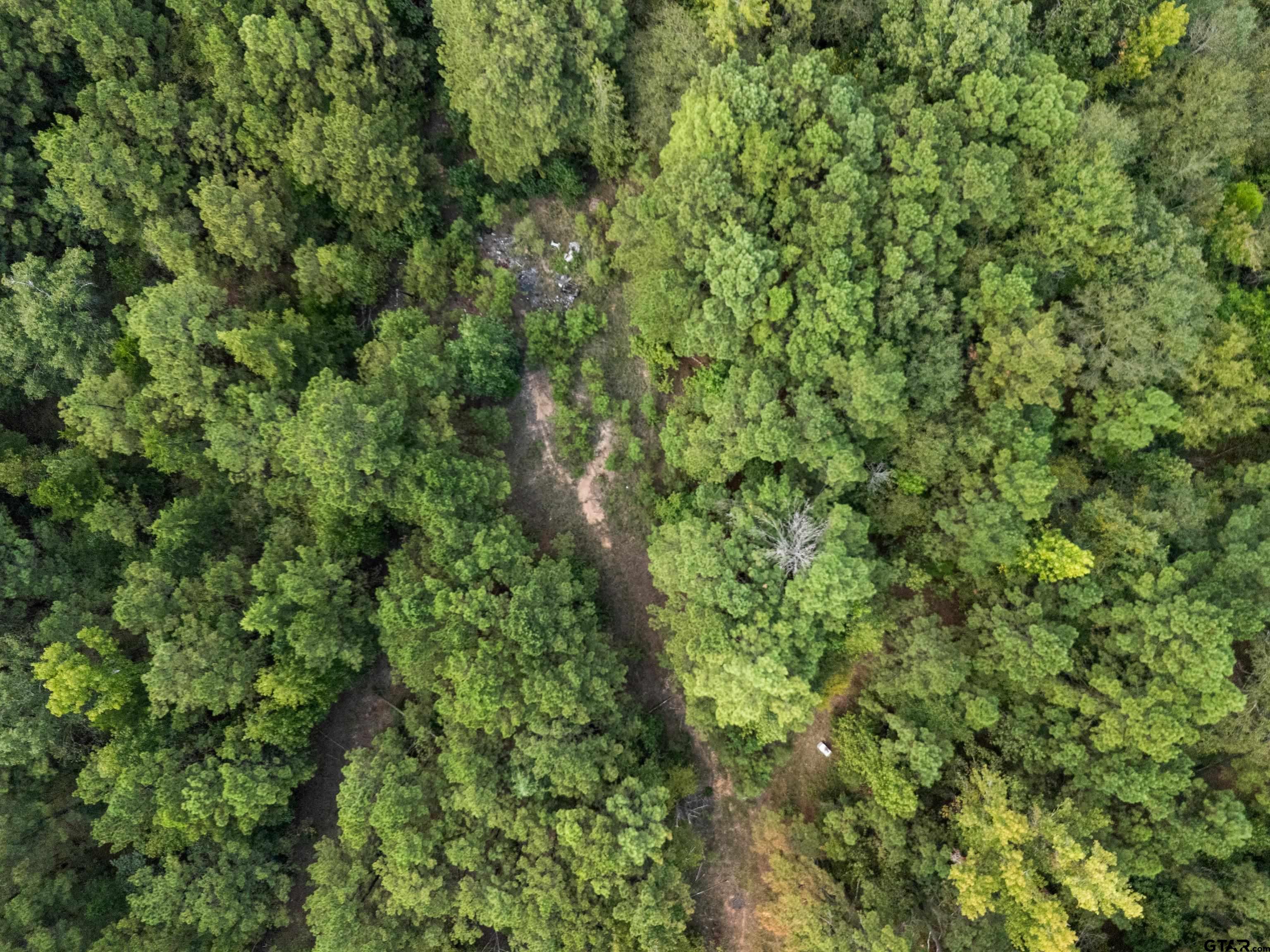 2268 Masters Road Mooringsport, LA 71060 - Photo 14 of 18