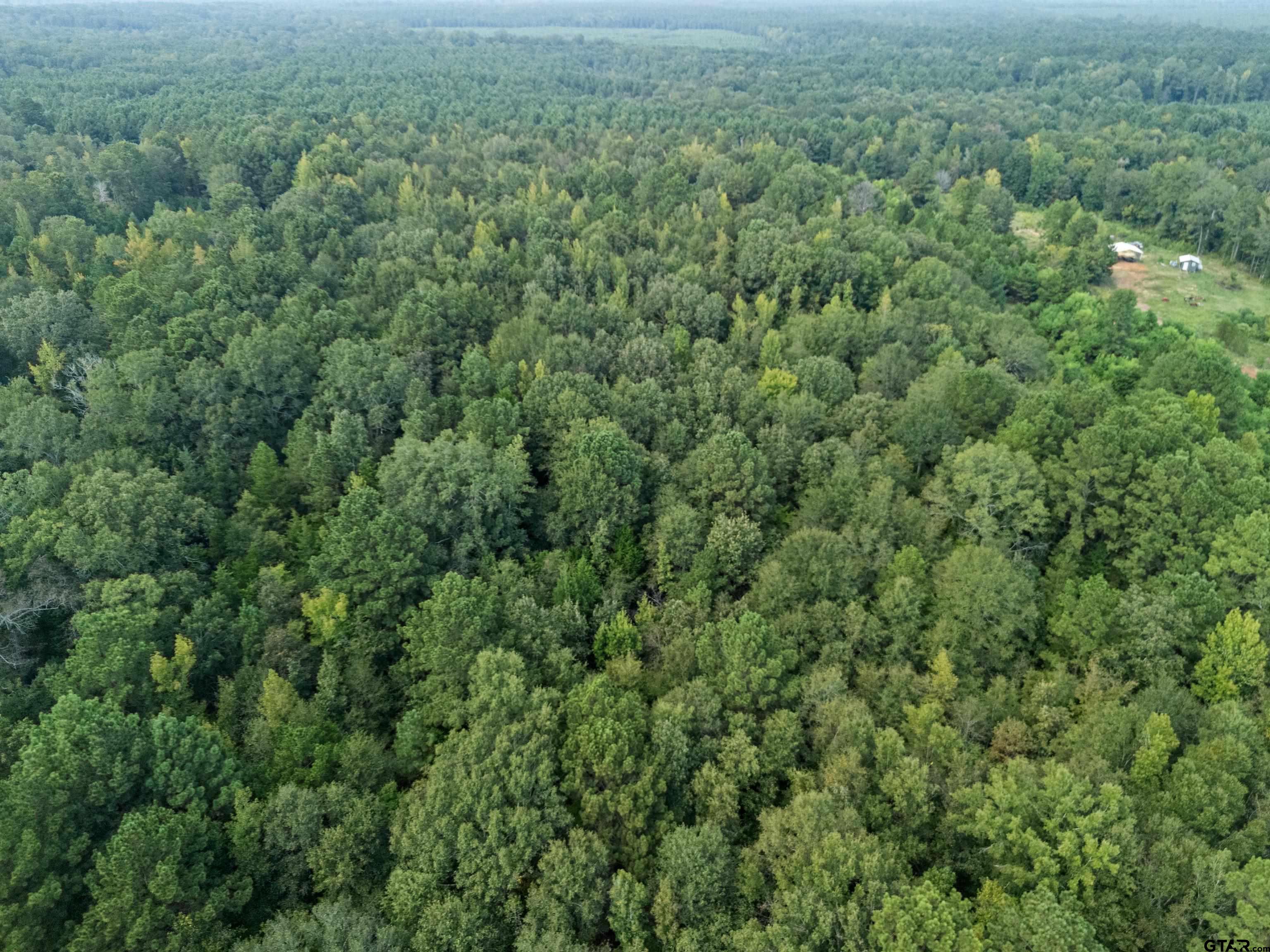 2268 Masters Road Mooringsport, LA 71060 - Photo 15 of 18