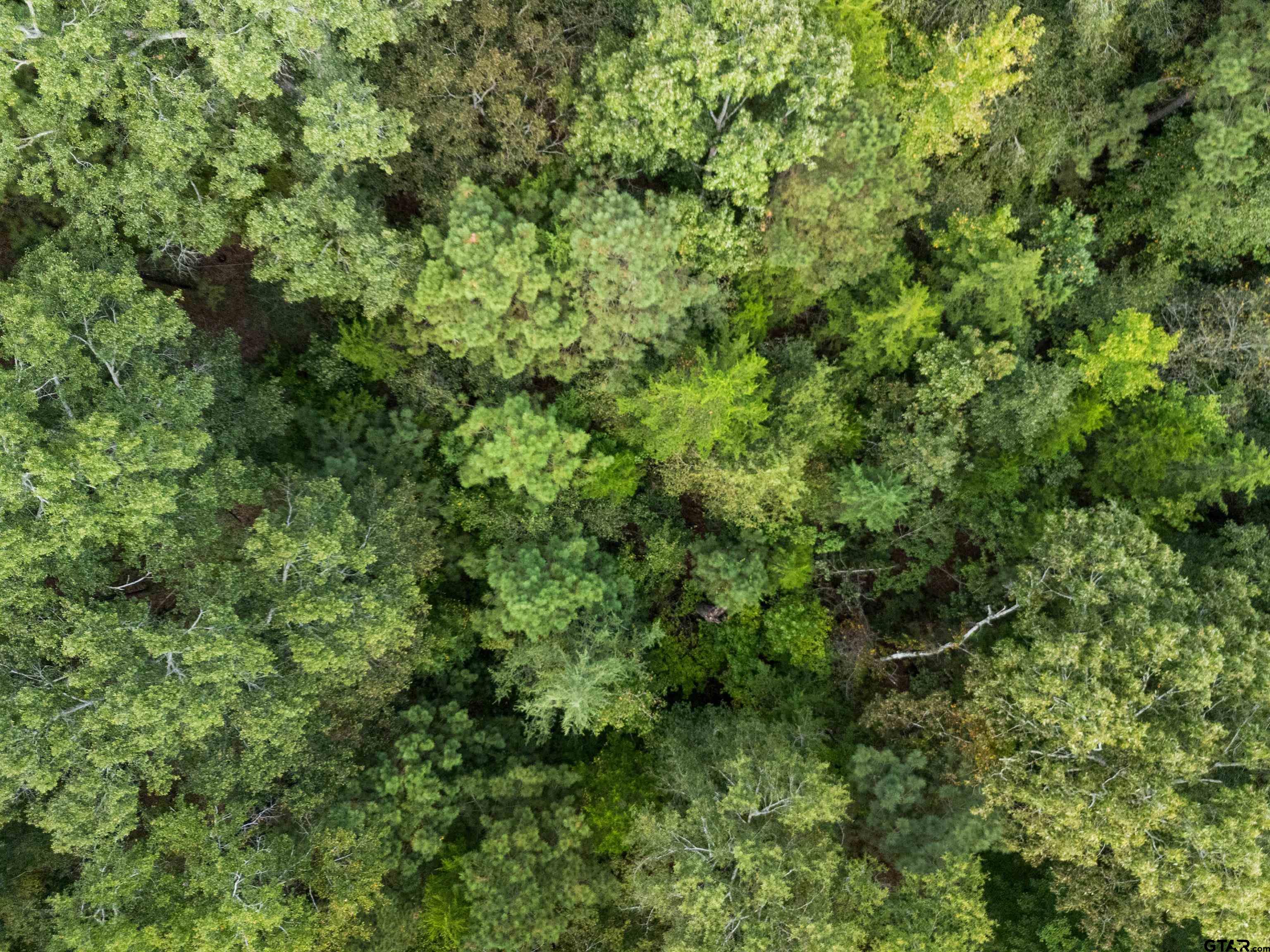 2268 Masters Road Mooringsport, LA 71060 - Photo 16 of 18