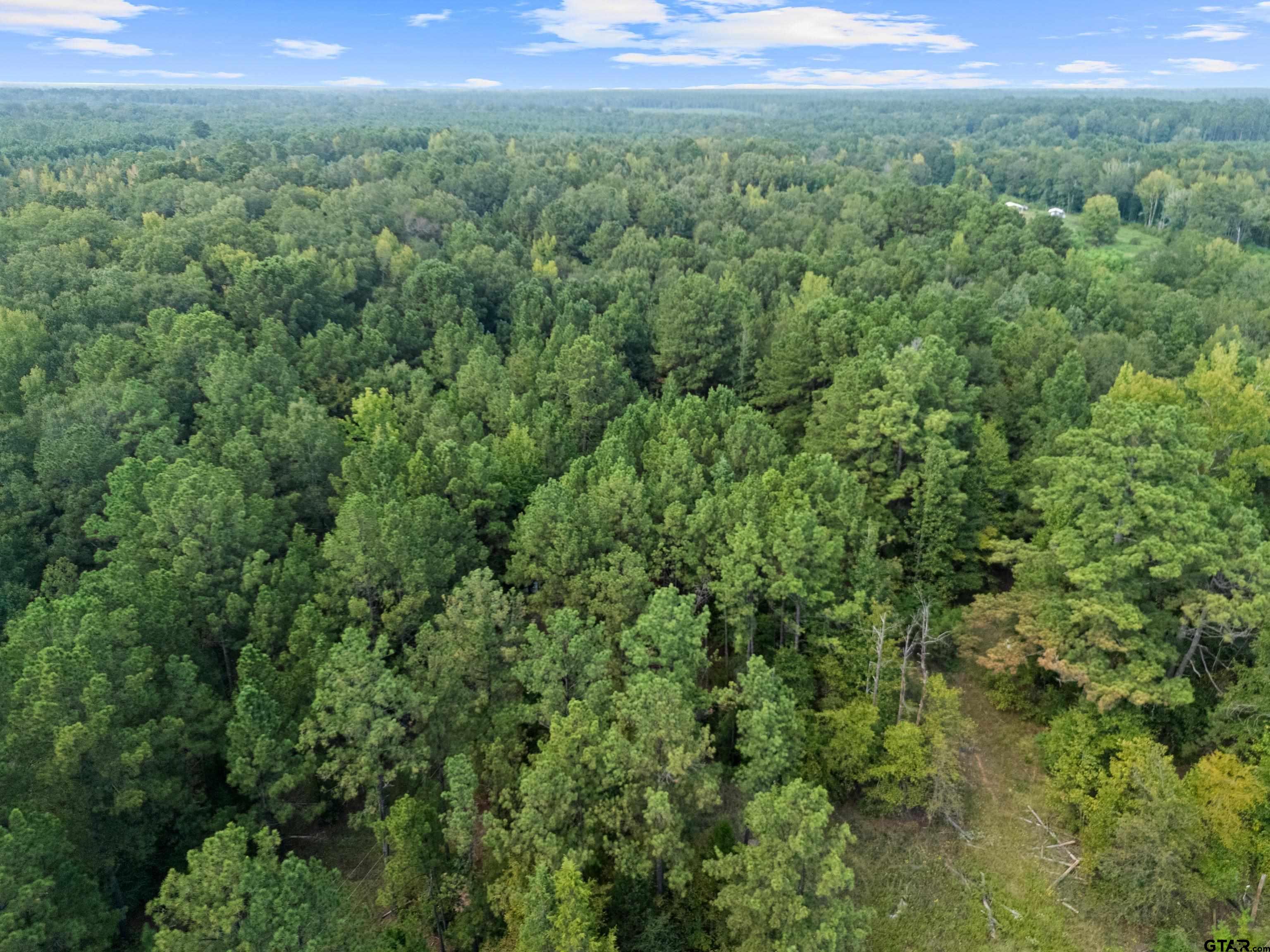 2268 Masters Road Mooringsport, LA 71060 - Photo 18 of 18