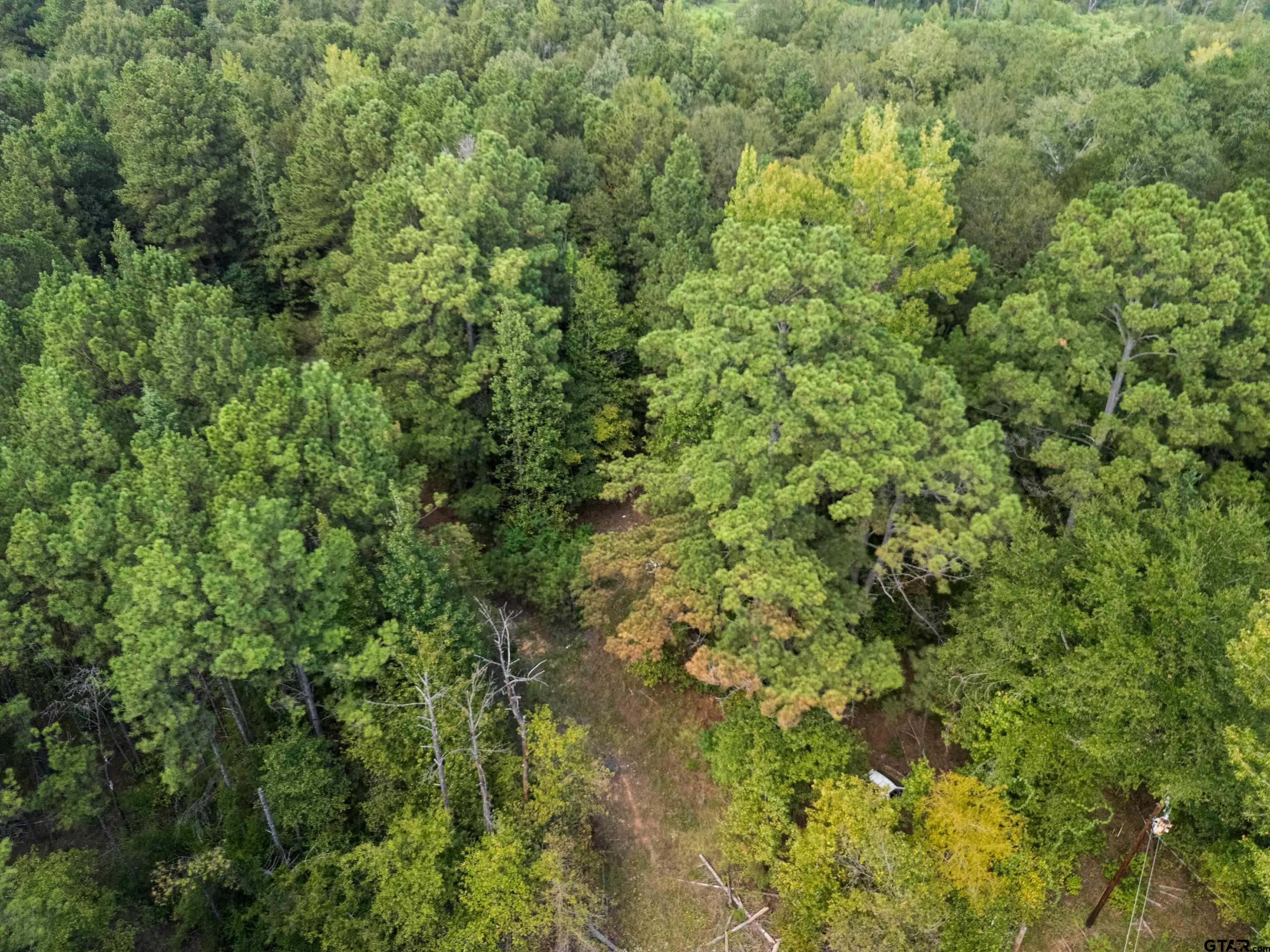 2268 Masters Road Mooringsport, LA 71060 - Photo 7 of 18