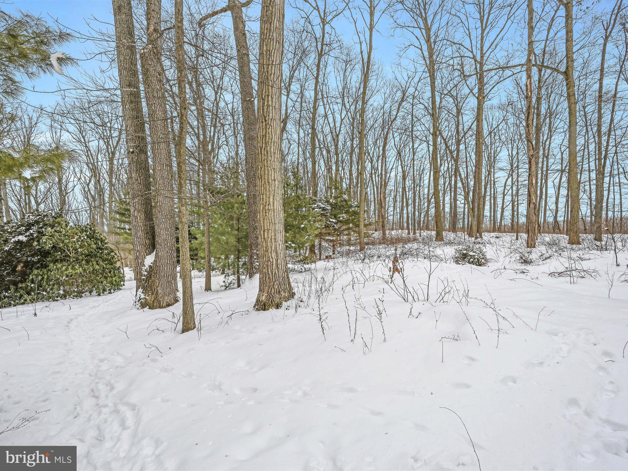 695 Fuhrman Mill Road Hanover, PA 17331 - Photo 30 of 40