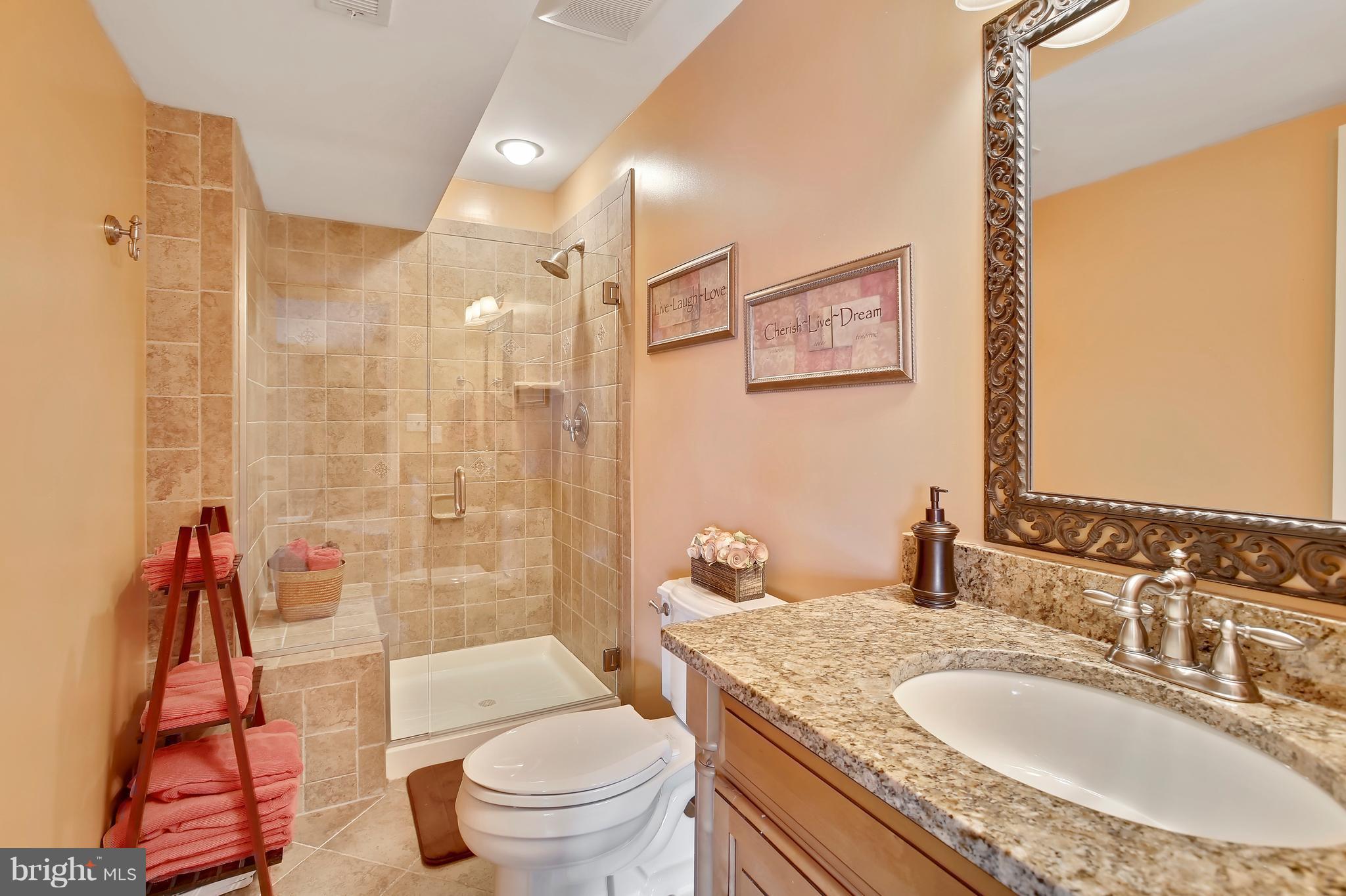18255 Maple Spring Court Leesburg, VA 20176 - Photo 12 of 30 Lower Level Full Bath