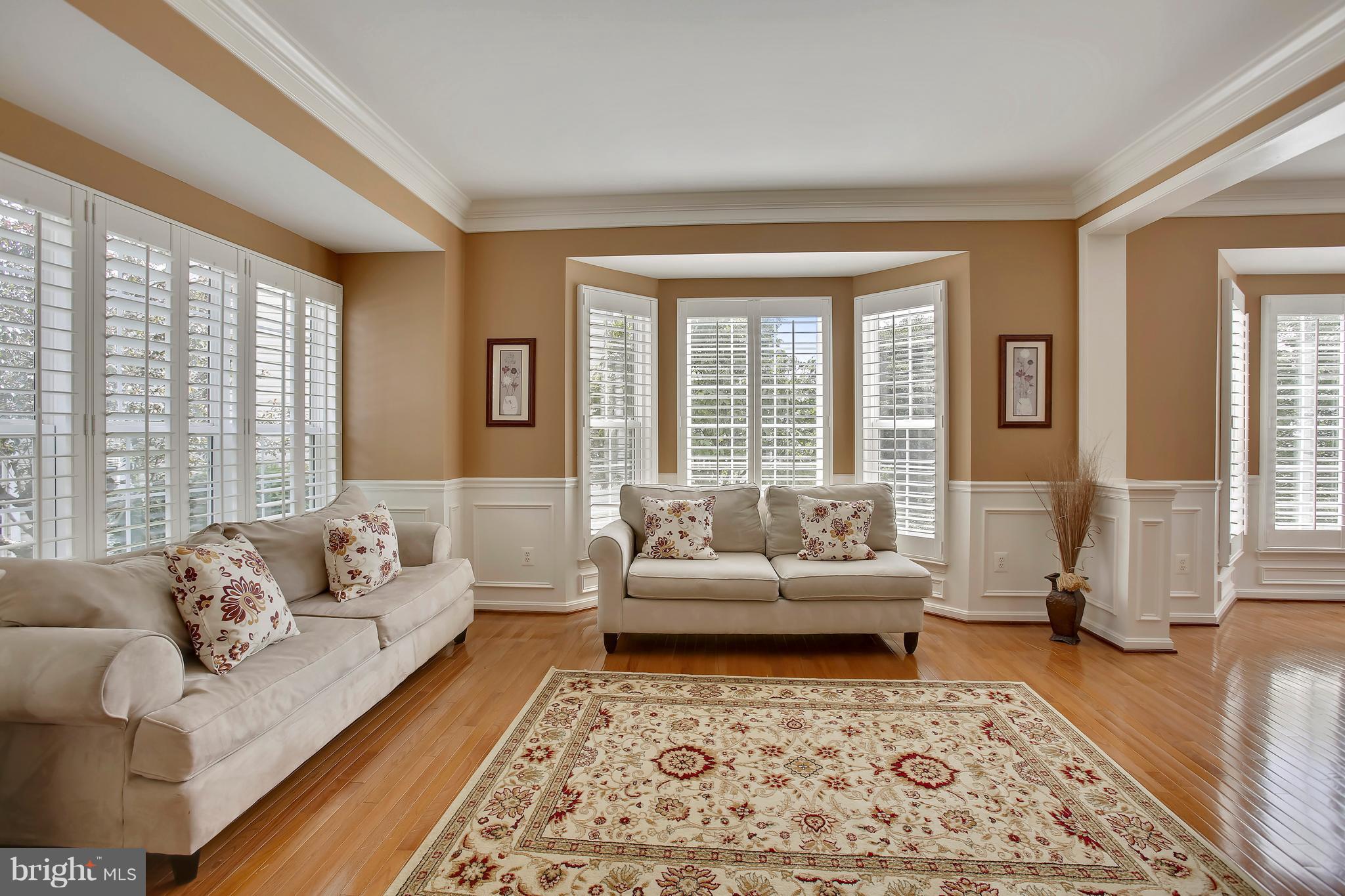 18255 Maple Spring Court Leesburg, VA 20176 - Photo 22 of 30 Inviting LR wBay Windows & Plantation Shutters
