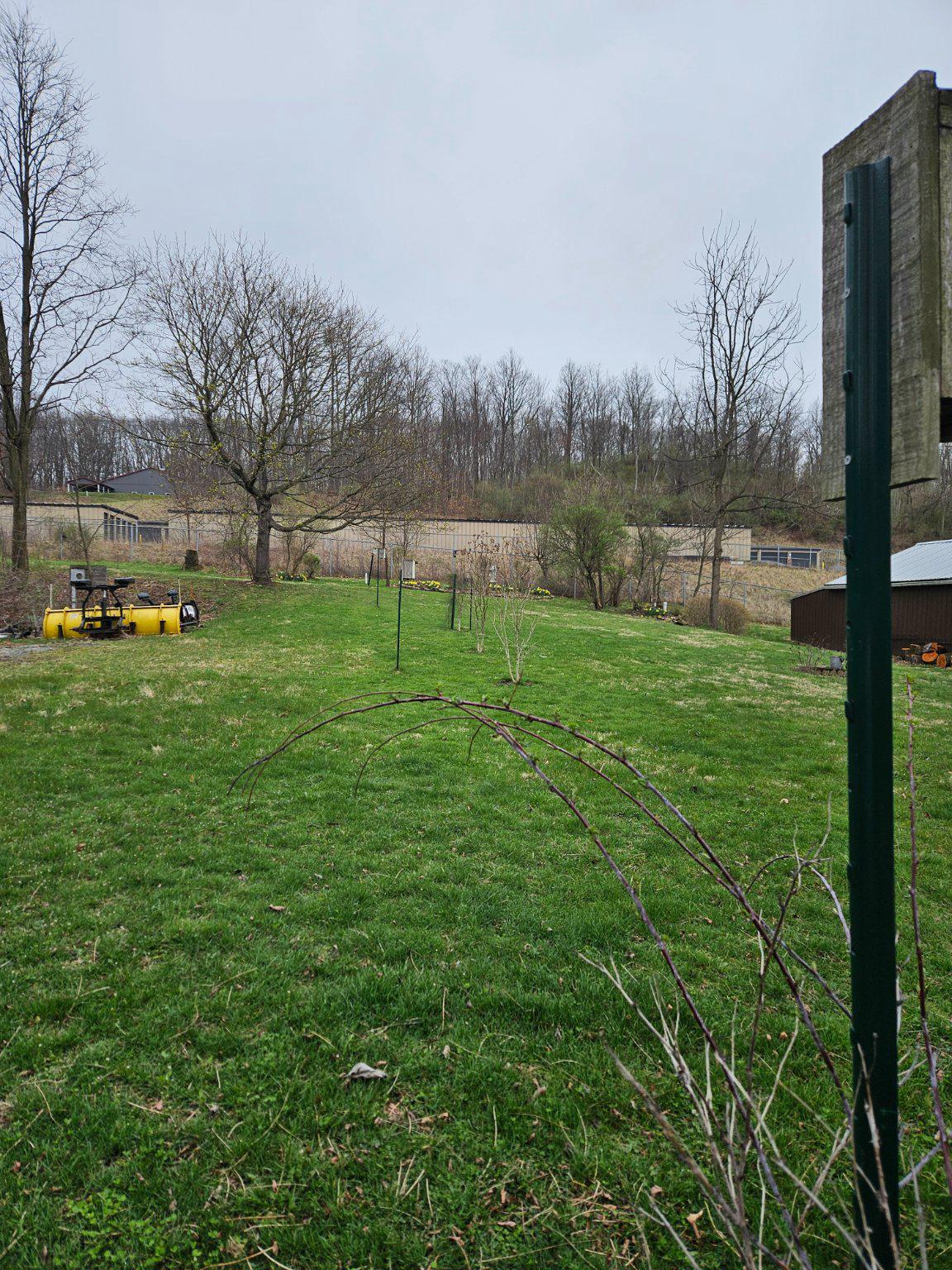 Sandy Run Road Altoona, PA 16601 - Photo 3 of 9 a view of yard with tree s