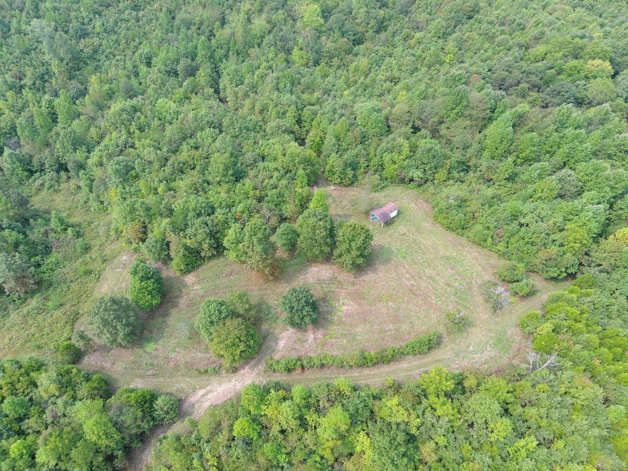 417 Womac Hollow Road Decatur, TN 37322 - Photo 6 of 28