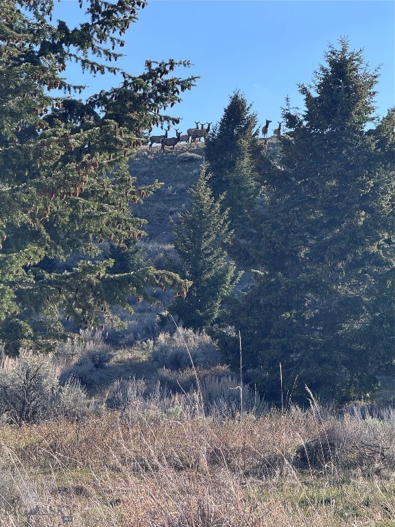 Lot 38 Sun West Ranch Cameron, MT 59720 - Photo 27 of 49 Gallery Image 27