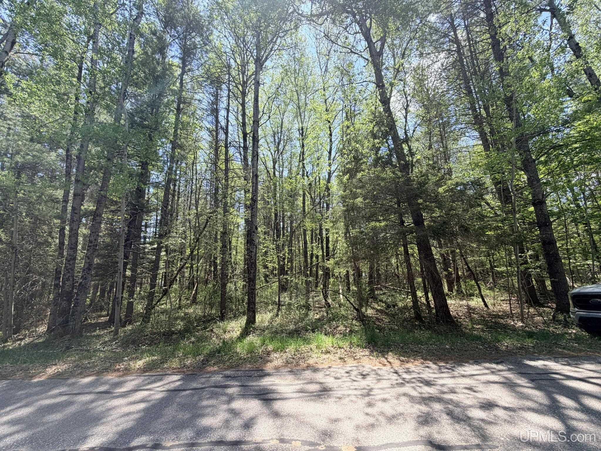 Tbd Pine Ridge Road Manistique, MI 49854 - Photo 14 of 20